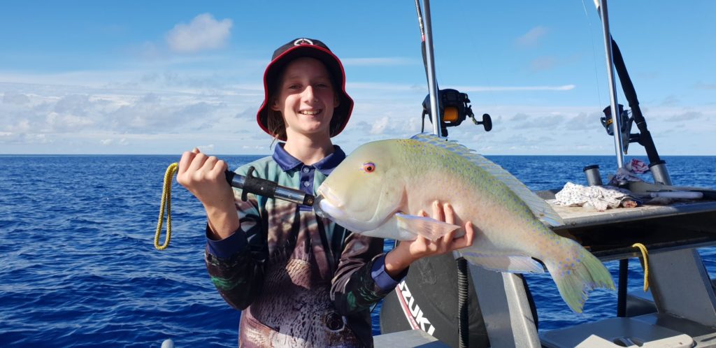 Inshore fishing Tusk Fish