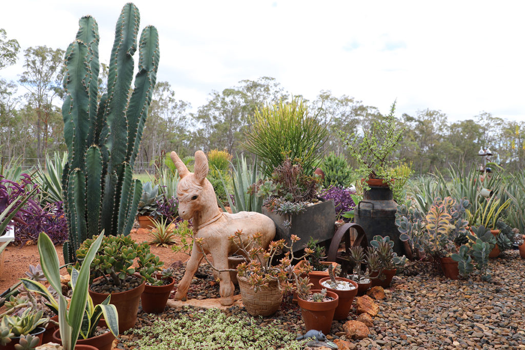 Irene and Lui's Garden