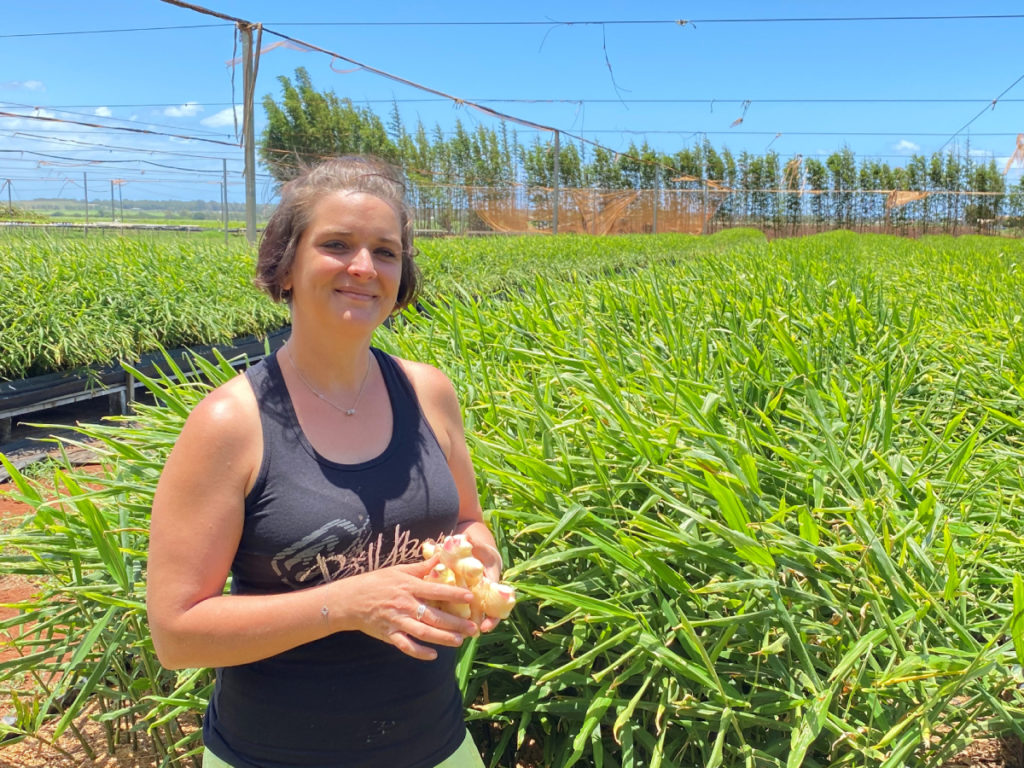 Bundaberg Ginger