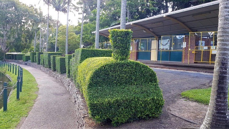 Botanic Gardens Steam Train Hedge