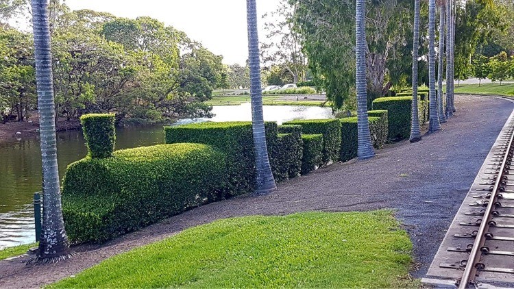 Botanic Gardens Steam Train Hedge