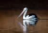 Kris Baggetto Photography