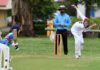 Queensland junior cricket