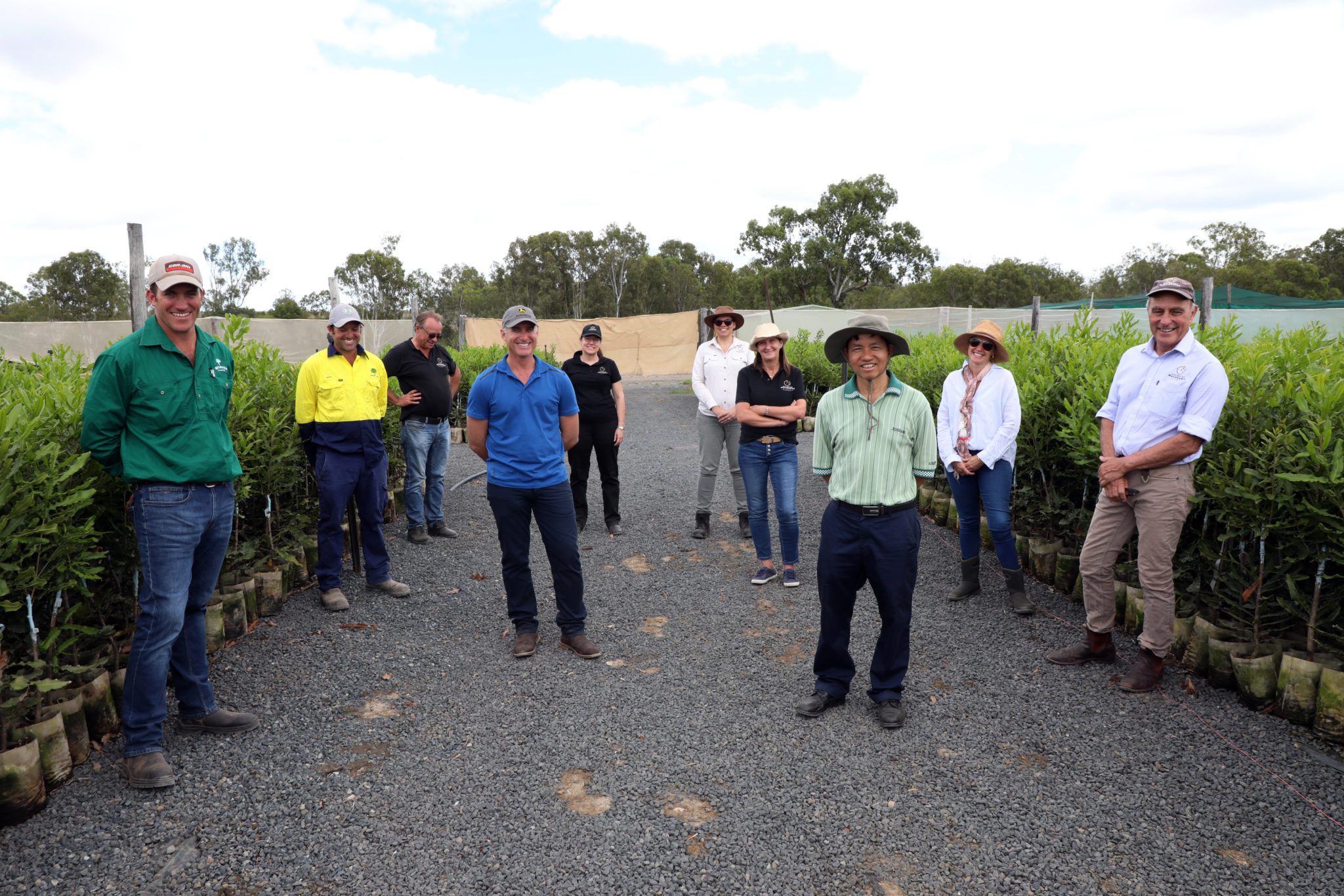 macadamia water security