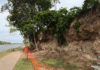 riverbank stabilisation