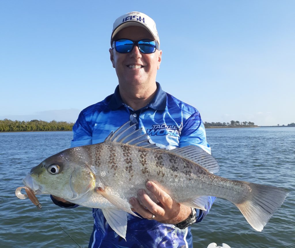 Burnett River fish