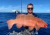 coral trout