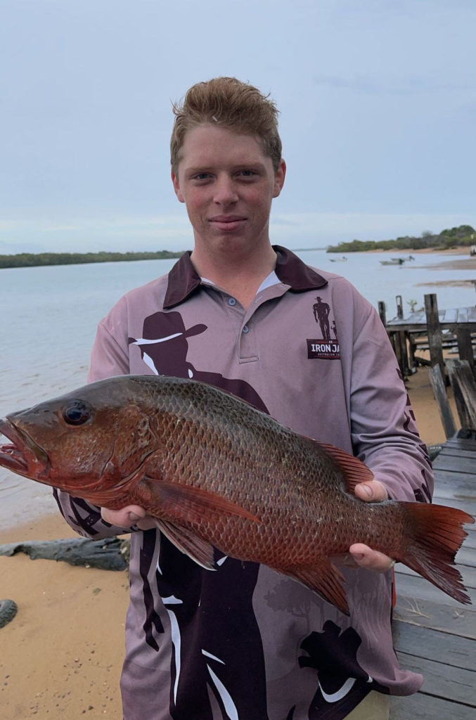 mangrove jack