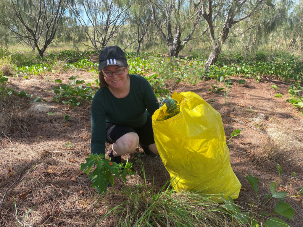 dune weed management program