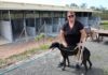 Red Collar Rescue Sharyn