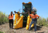 world first Cane Harvester