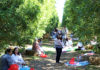popular picnic