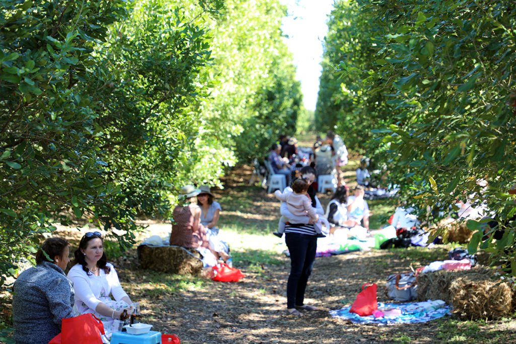 popular picnic