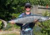 spanish mackeral