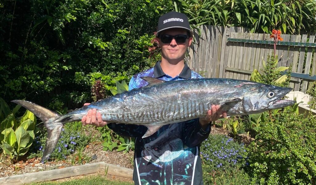 spanish mackerel