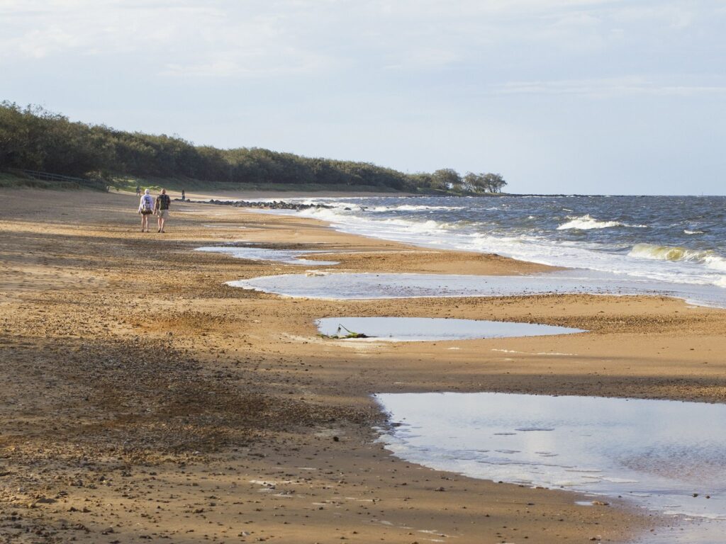 Mon Repos boardwalk