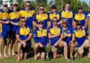 Waves division 1 cricket