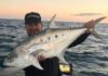 Jordan queenfish