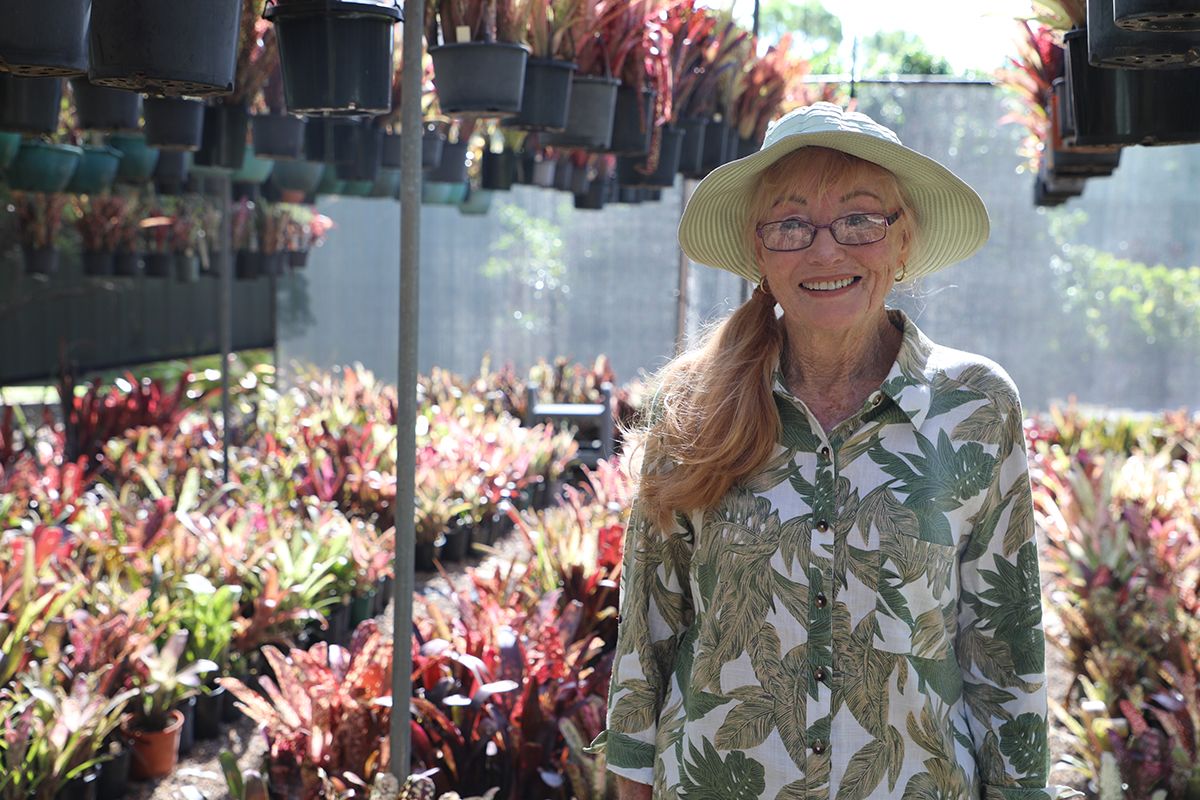 Val Honeywood