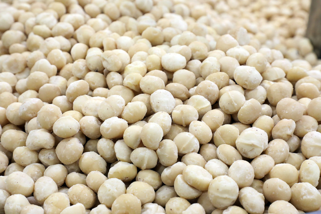 Marquis Macadamia