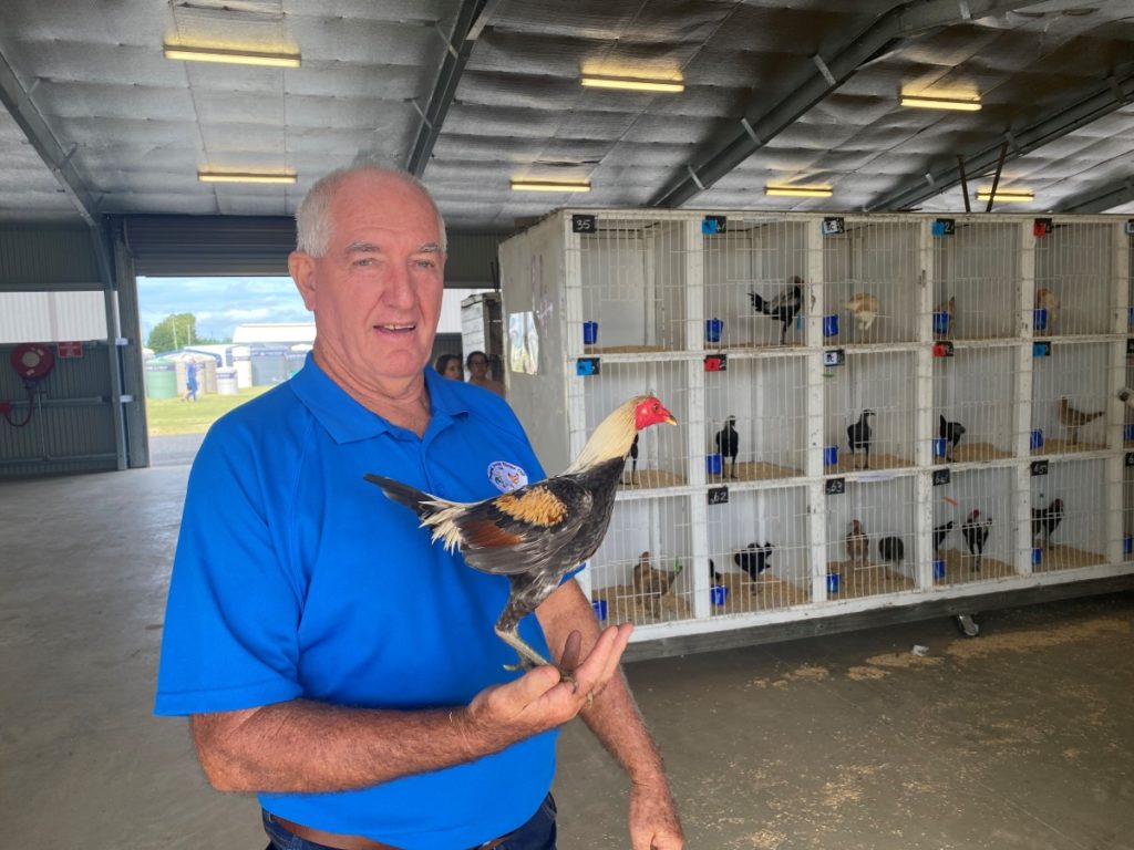 Bundaberg Poultry Fanciers annual show