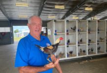 Bundaberg Poultry Fanciers annual show