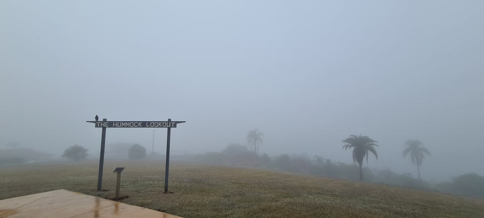 fog Bundaberg