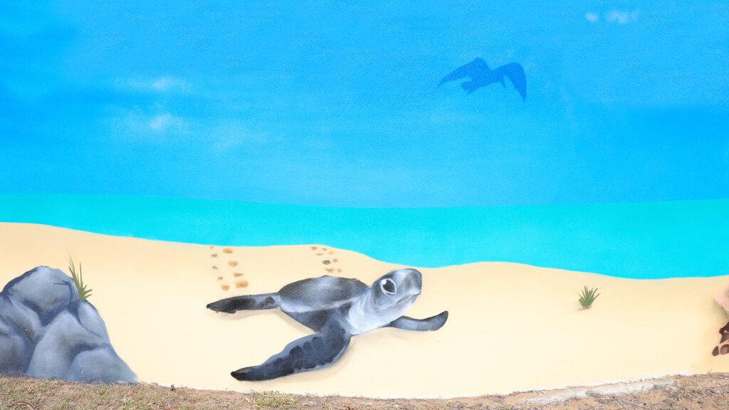 Turtle mural