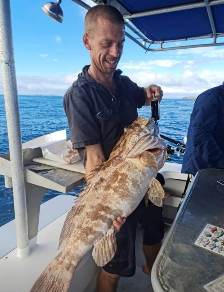 cod caught offshore
