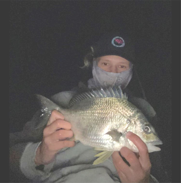 bream at burnett river