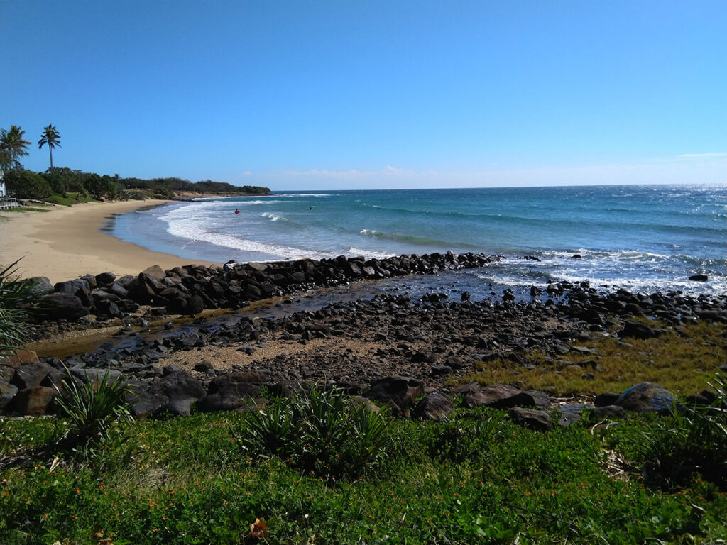 Shoreline Erosion Management