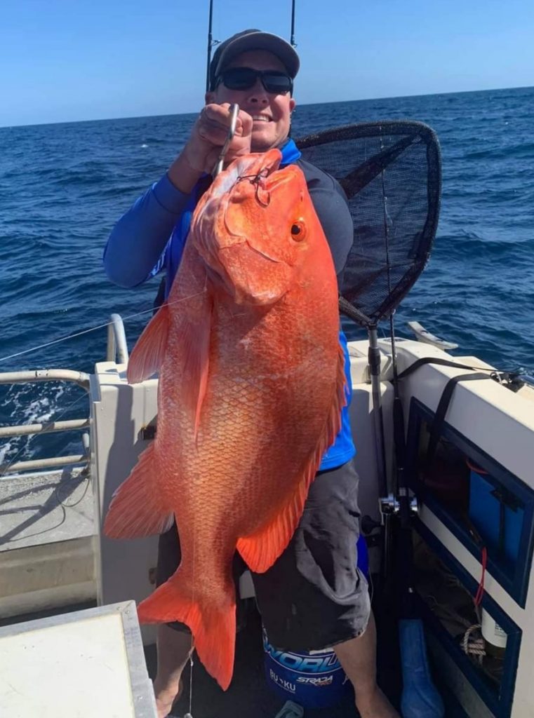 Bundaberg bait fishing