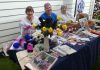 Gin Gin Seniors Expo