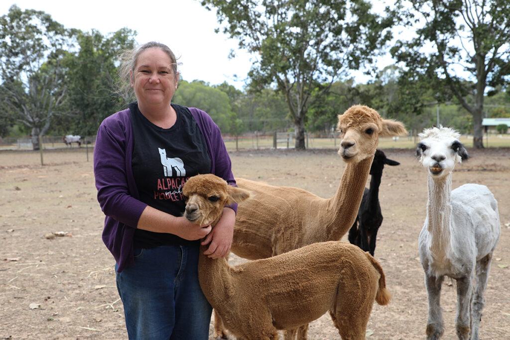 AllyHar Alpaca Famr