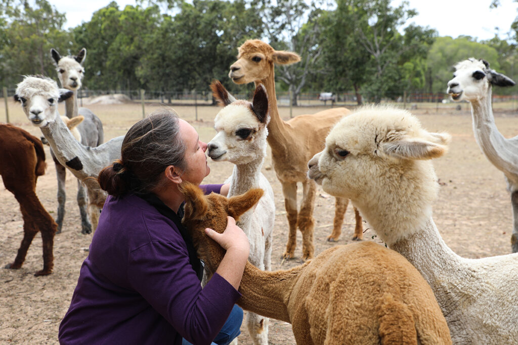 AllyHar Alpaca Farm