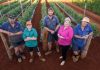 Attard Family Farms