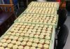ginger beer cupcakes