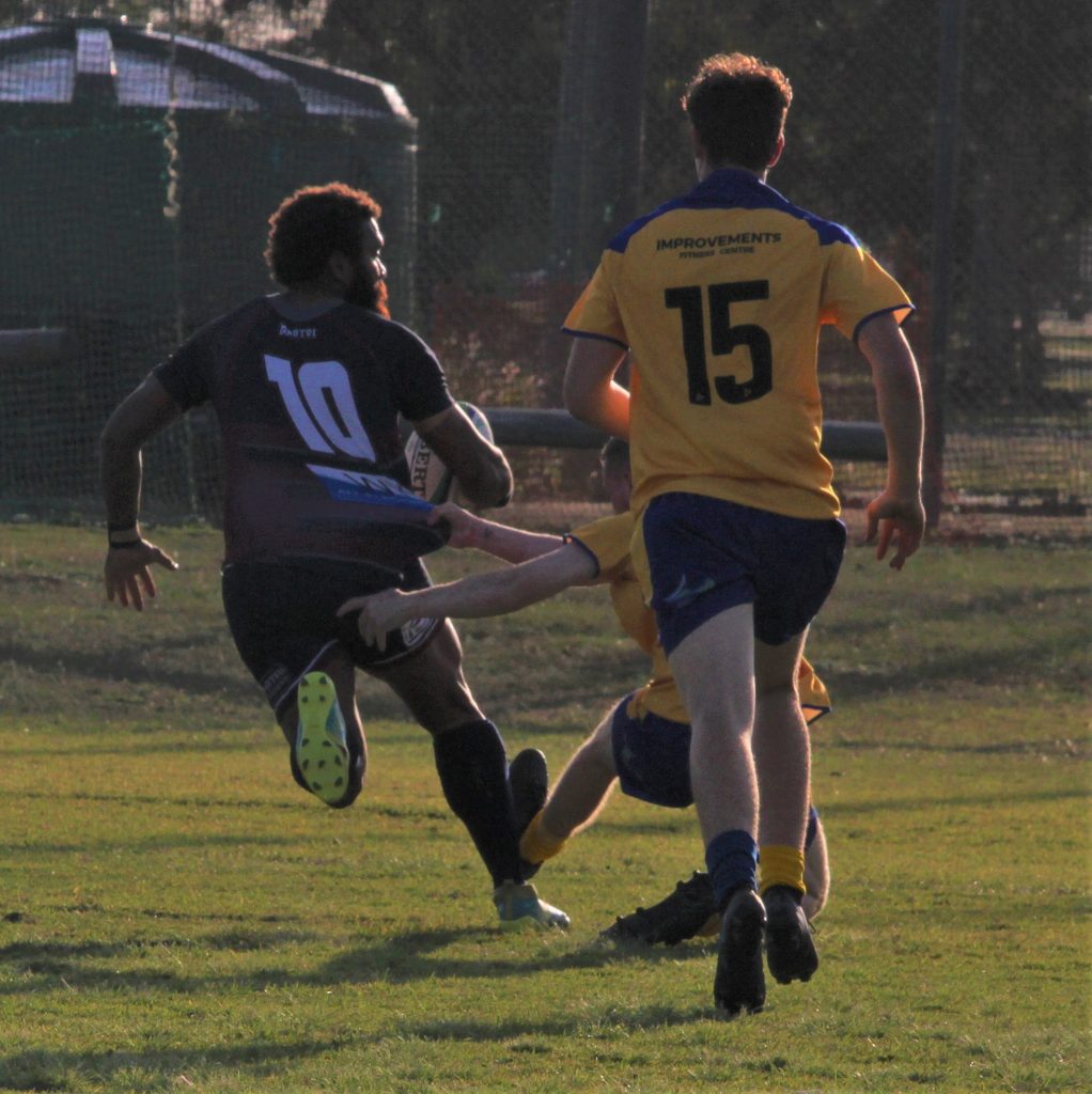 Headlands Pies cricket