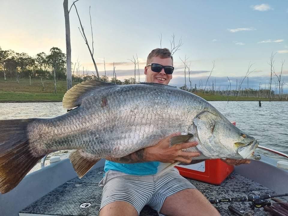 Monster barramundi lake monduran