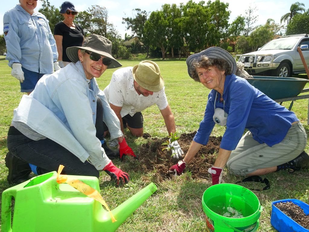 Million Trees Bargara