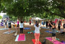 yoga veteran's week