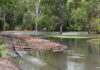 wettest November