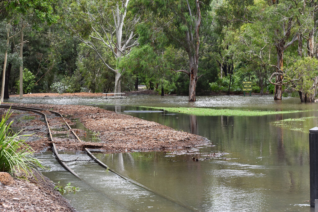 Botanic Gardens wettest November