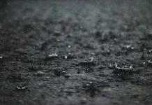 heavy rainfall totals Bundaberg