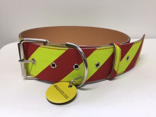 regulated dogs collar