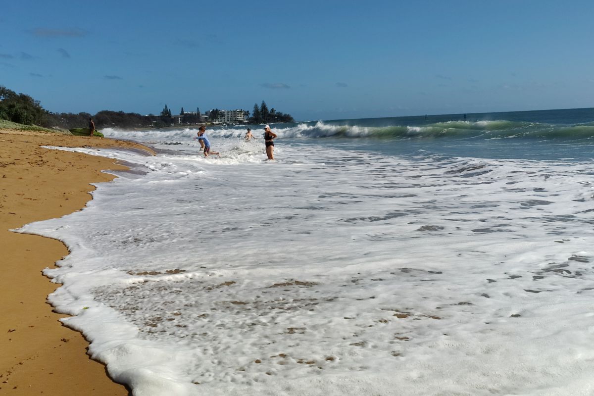 Aim for morning swims this weekend – Bundaberg Now