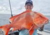 mixed fishing conditions