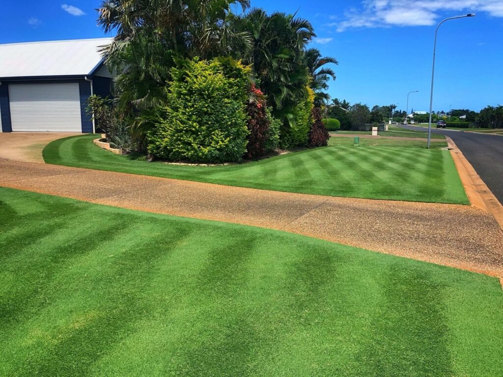 Australia's Best lawn