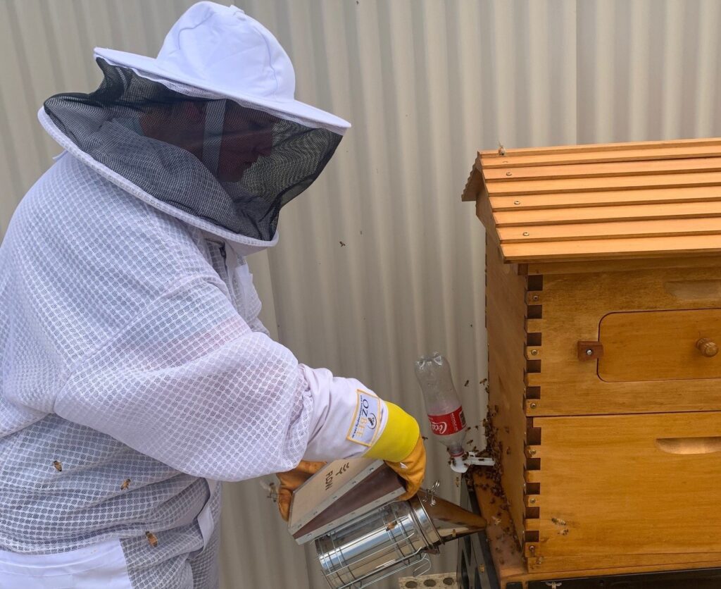 workshop bee keeping