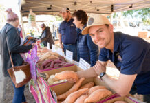 Taste Bundaberg Farmers Market